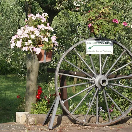 Leccino E Moraiolo Daire Montecchio