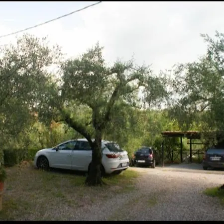 Leccino E Moraiolo Montecchio