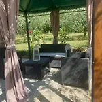 公寓 Leccino E Moraiolo 锡耶纳